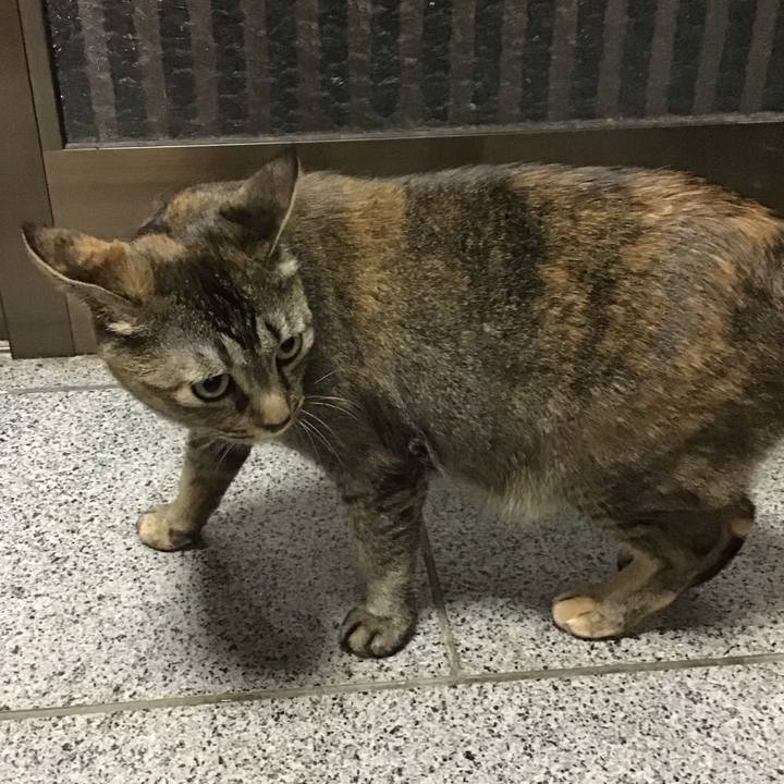 697ffbd9 0b7d 4cf5 93e4 92bfd7153995 1684589406666