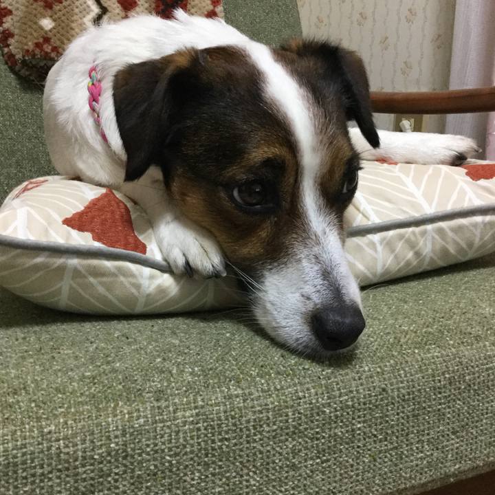 69800285 7792 4dc8 aa76 bf69daec63d4 1525168271766