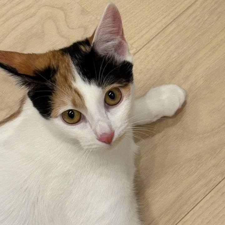 69800d6e d173 4ebd 83e9 be92a155e460 1763641513305