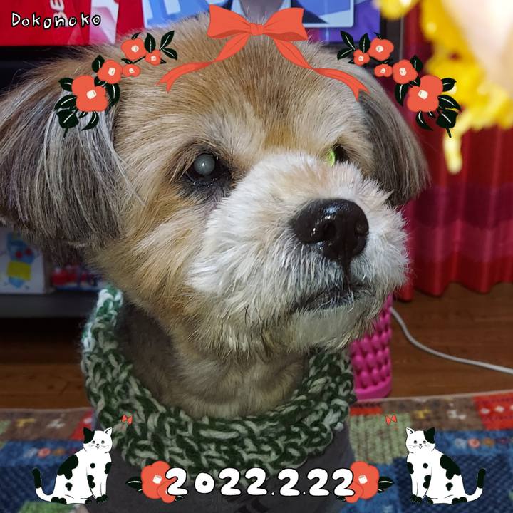 698028b9 c8f8 487b a232 d7f16af99e19 1645494710285