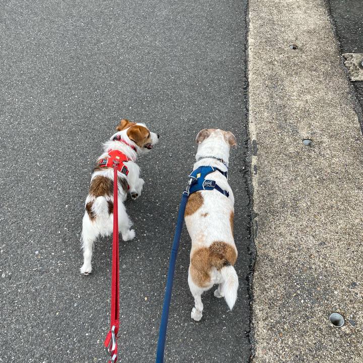 6980367a 3105 412f 8250 3b4621aff21a 1651385781534