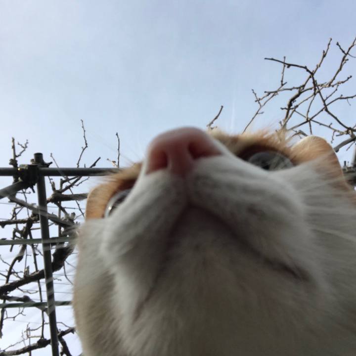 698044a7 0066 4c54 873f 241ce7ced7ec 1516072245217