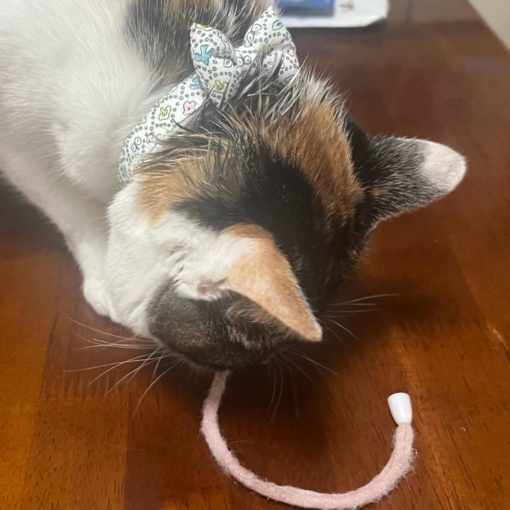 698100df 10bb 4b20 b930 7ecf57ebca67 1762916808864