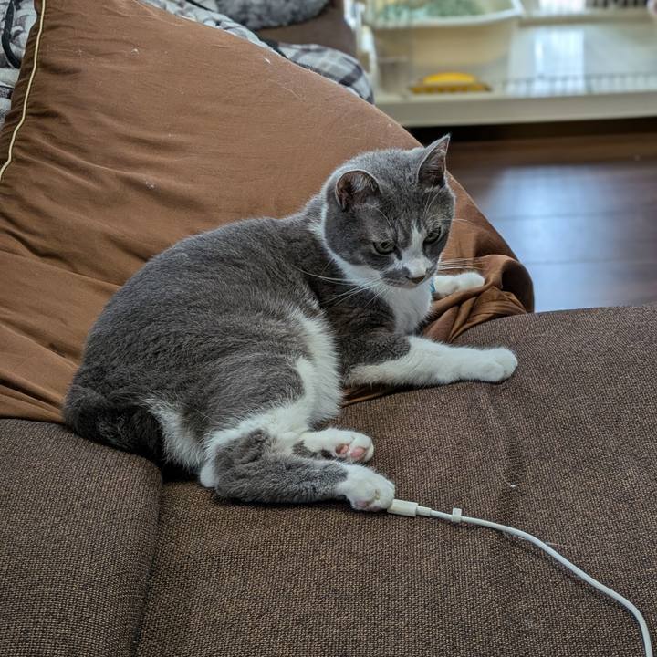 69812504 1317 4375 99c3 95e7ac20198a 1727224178031