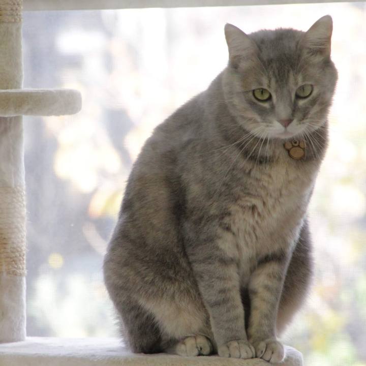 69812775 c6b8 4b3c b127 d409238ef411 1576121569333