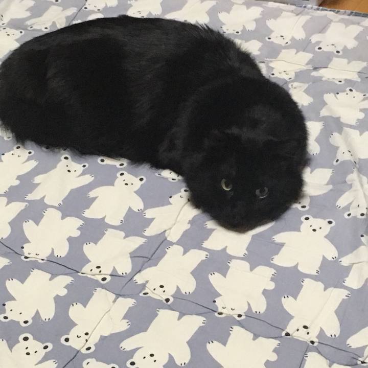 69817c1b 6db6 4f92 860f 3f72efcf8f72 1521125435461