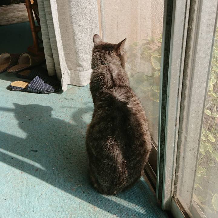 69818094 db7d 4f1e 9a45 6e320cce5cce 1570940911626