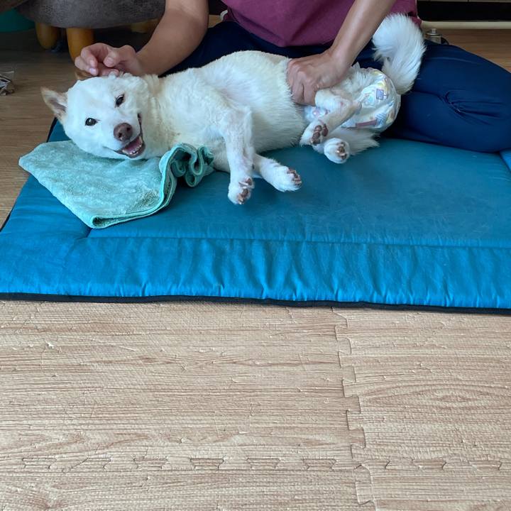 6981b4f0 fa2b 4e77 afe9 e48cf001a635 1663679758164