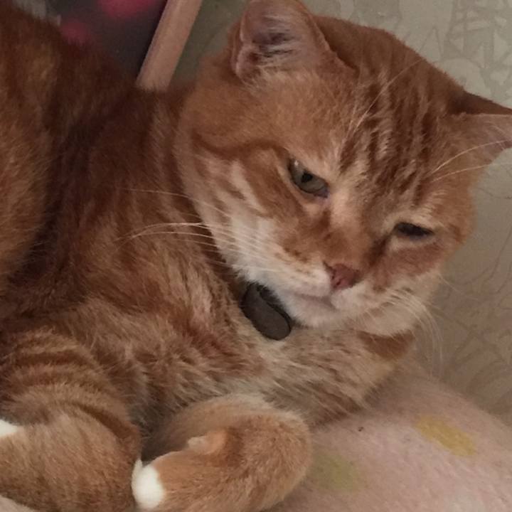 6981c6aa 59dd 4adf ba36 1ffab8be5b61 1559372333069