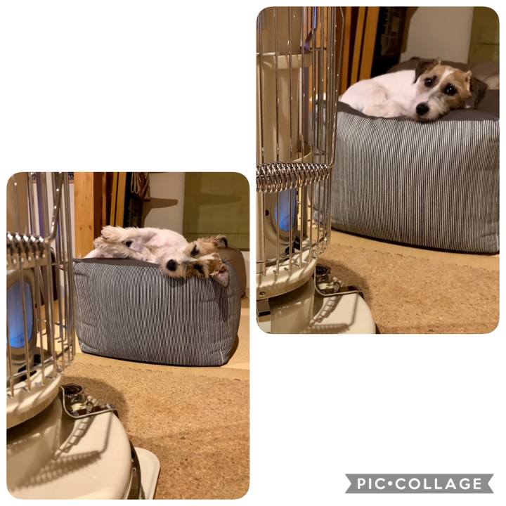 6981f1cf 318b 42e8 a608 ed46f4fe6108 1606054401465