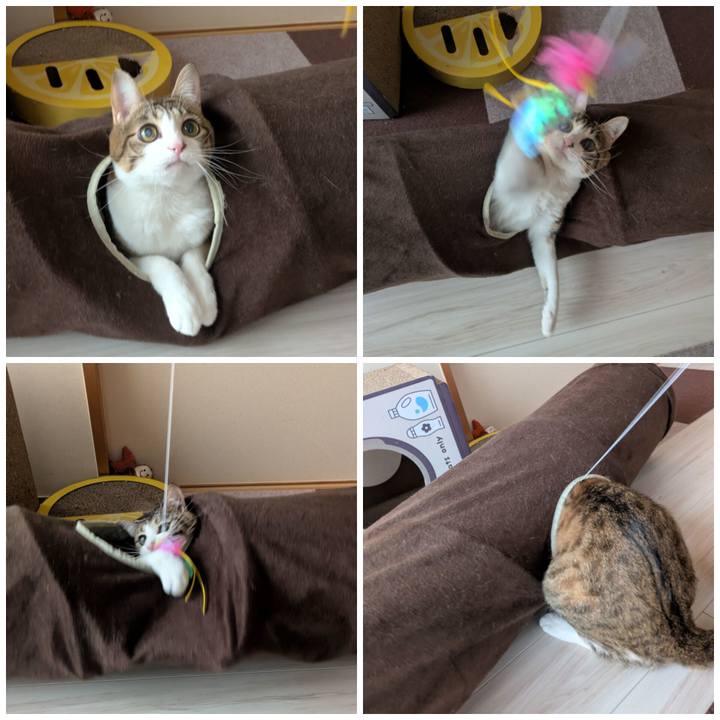 6981fdc5 62cc 4577 9cca d4c5315fad7a 1774137391938