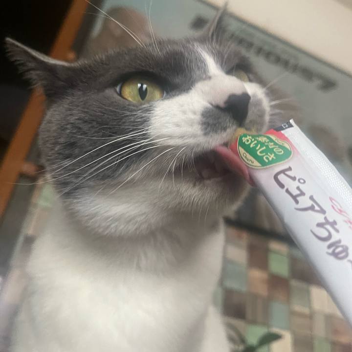 69827596 5e2d 40d1 9b3f 4831c7ff83ef 1711523658561