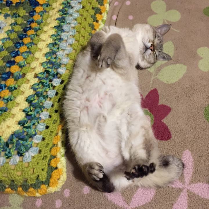 69828081 17b9 4a80 a2de f16e4c3652d2 1552563237467