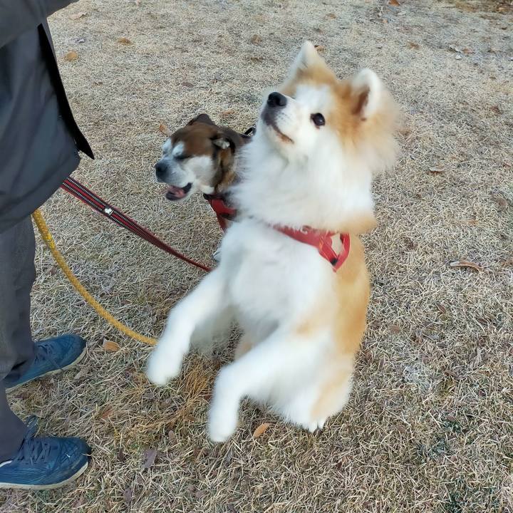 6982819d 3977 4cfc a83f 5d253039705f 1638532876777