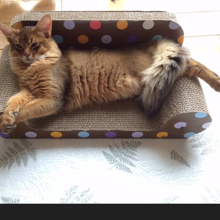 69829cff e96a 45d4 8acc 4768565d1fb4 1576548556528