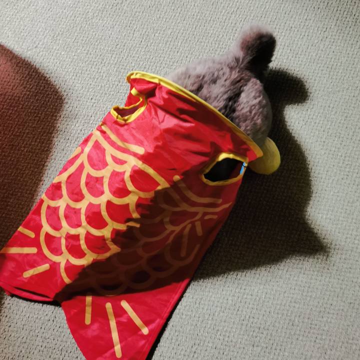 6982a7c5 b565 482f a829 401fcf019b7a 1619705287452