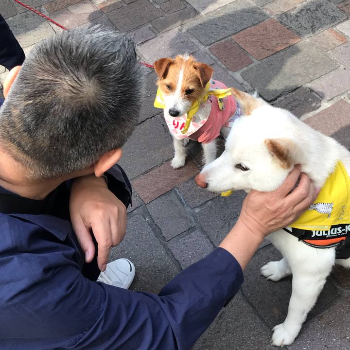 6982aea2 c988 4d24 bf9f f035d685069d 1555803186836