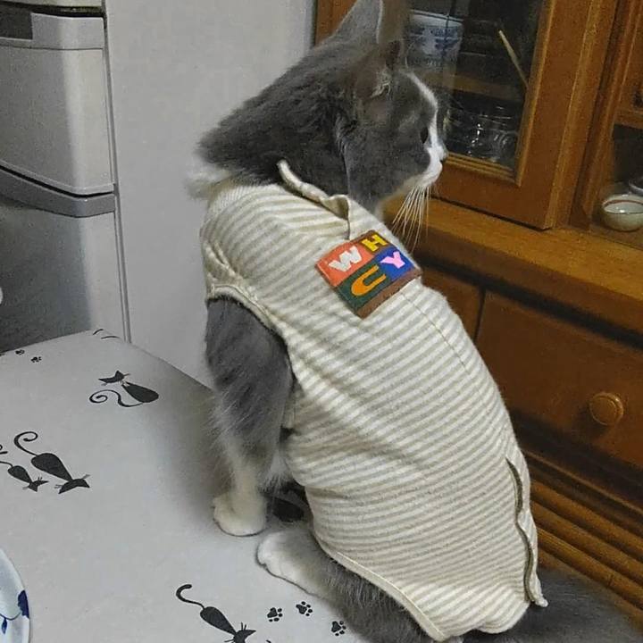 6982c4fc fd1f 4f6a adb7 f5f1e3eaa0ef 1572686006930