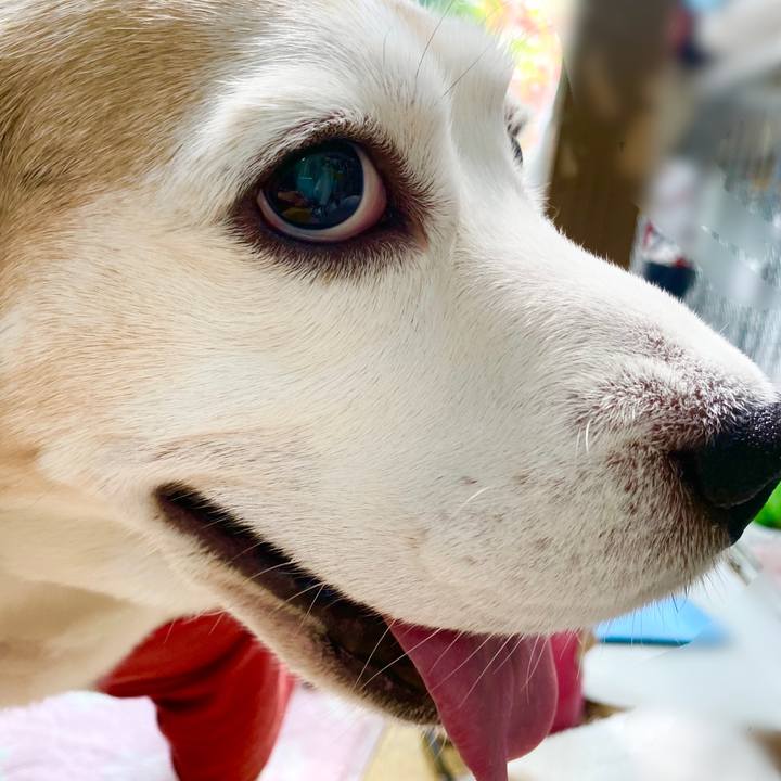 6982d61c b891 46b9 ada8 a428521af707 1649819967463