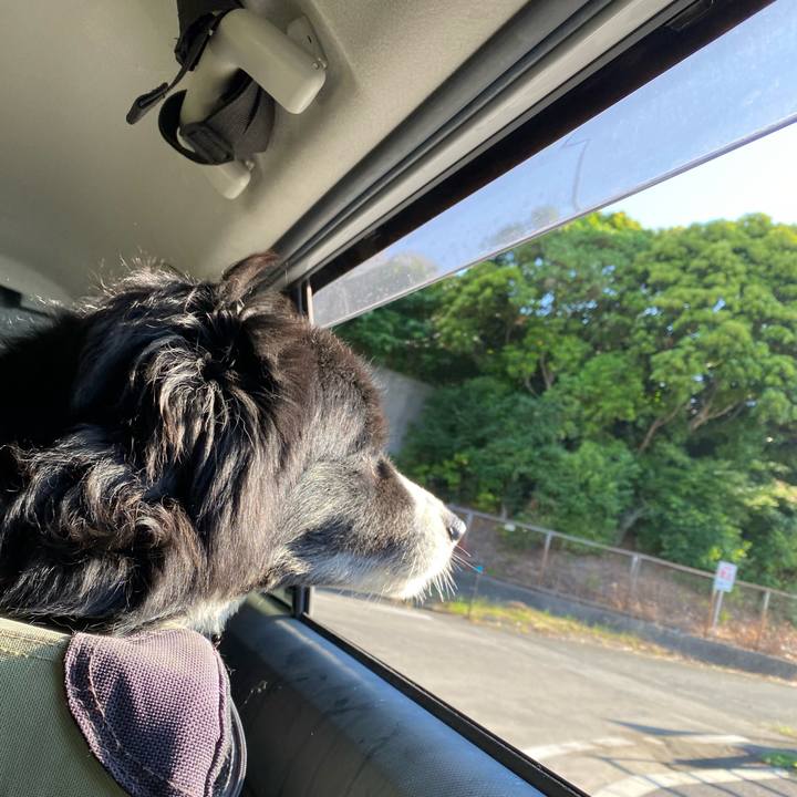 6982e5c1 bb7c 4d57 a458 6b0b4365105f 1653603382478