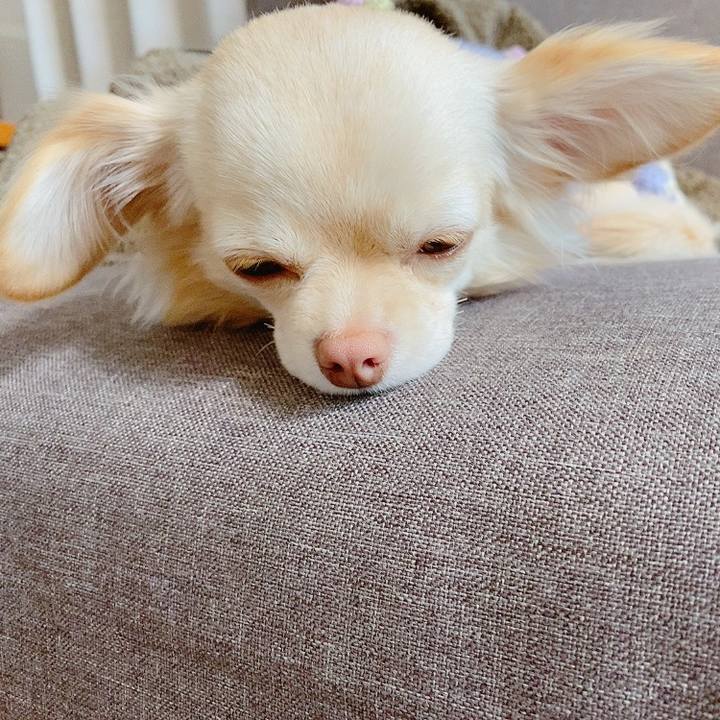 698359c3 104f 4e4b aeff 12796df1e2f1 1614567818367