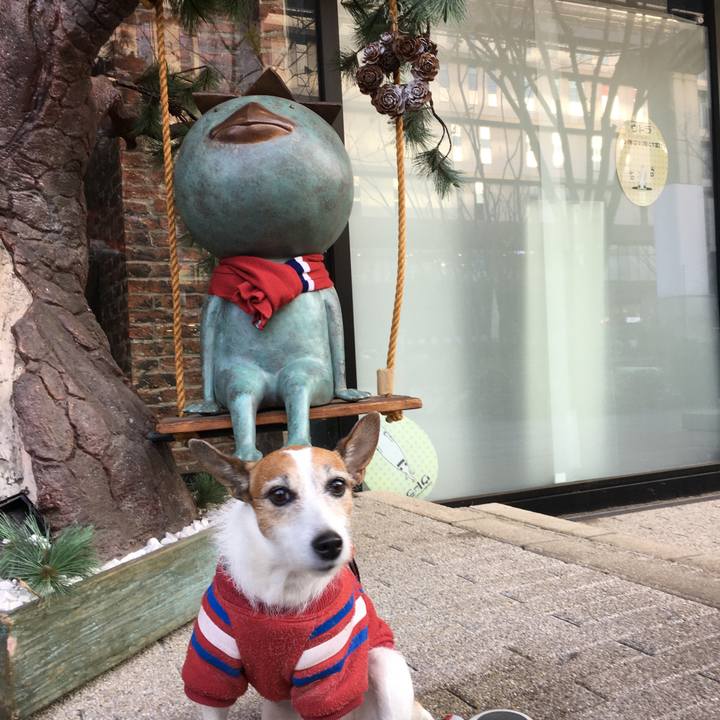 69836caa a1d6 4eae 8836 7c9c281a6a57 1609200810862