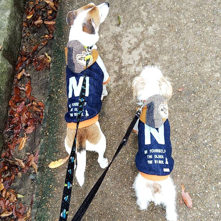 698378e5 aa0a 4468 adcb 61a84e1cd879 1540616941941