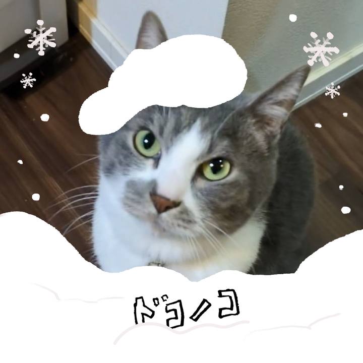 69839524 c0d2 4957 b942 86f091208729 1771852210096