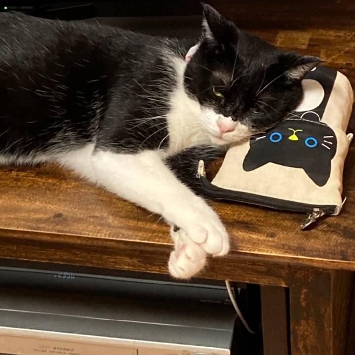 6983aef2 aefa 4cf3 a3ad e45490007923 1624941432333