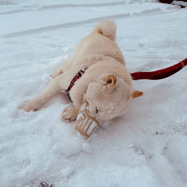 6983b5f8 def6 417c 8243 796a0f47d357 1710974026766