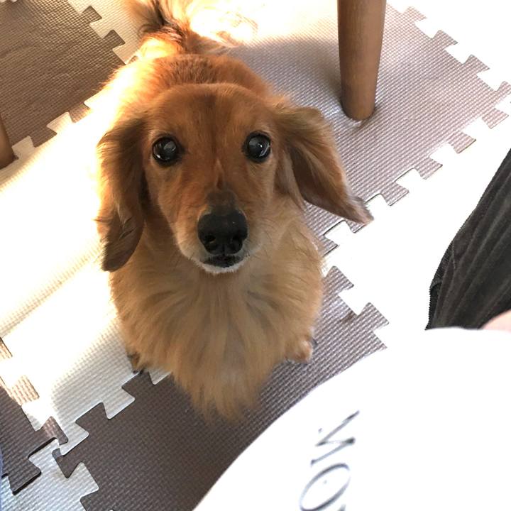 6983e51d 9823 4d27 9255 73f9ea3bcce5 1587820346143