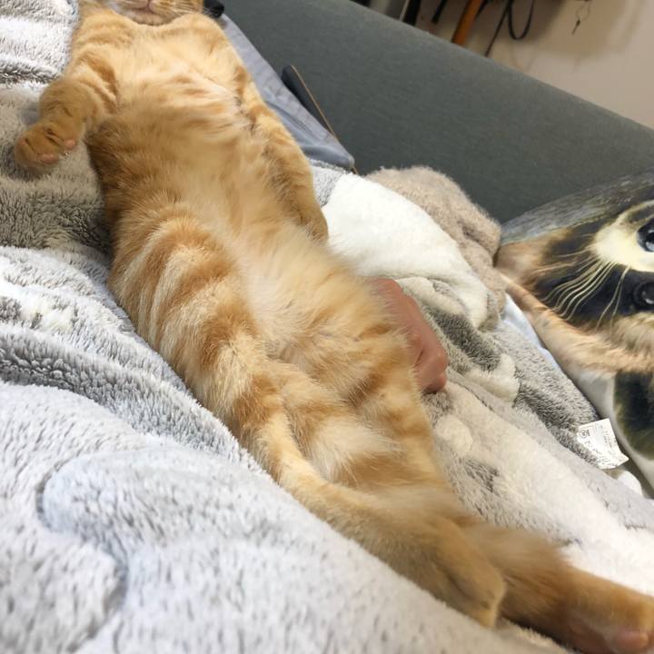 69841c0b 44e2 45bd 98e1 de372c0c1616 1573566340405