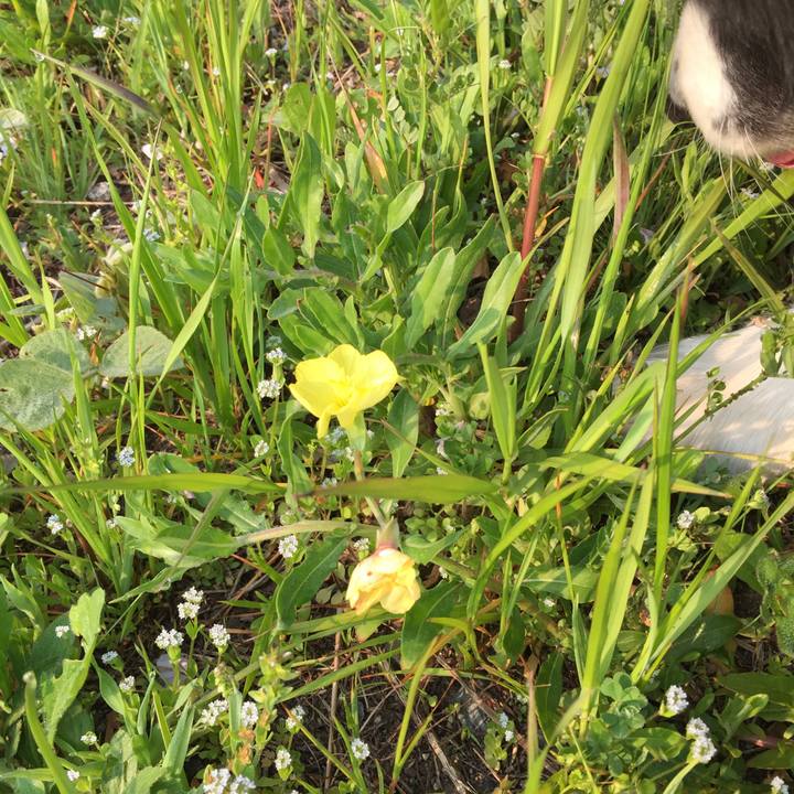 69841e36 1430 47bd 96bd 535e3c7cc155 1586388212283