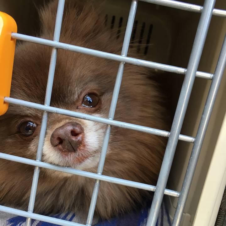 6984a19c d6f8 48a6 afec c04b79fe0516 1522040573378