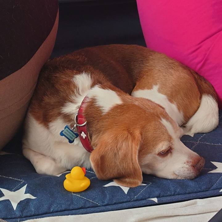 6984a796 0bd7 463b 9bf8 6e38b30b08c1 1756257676143