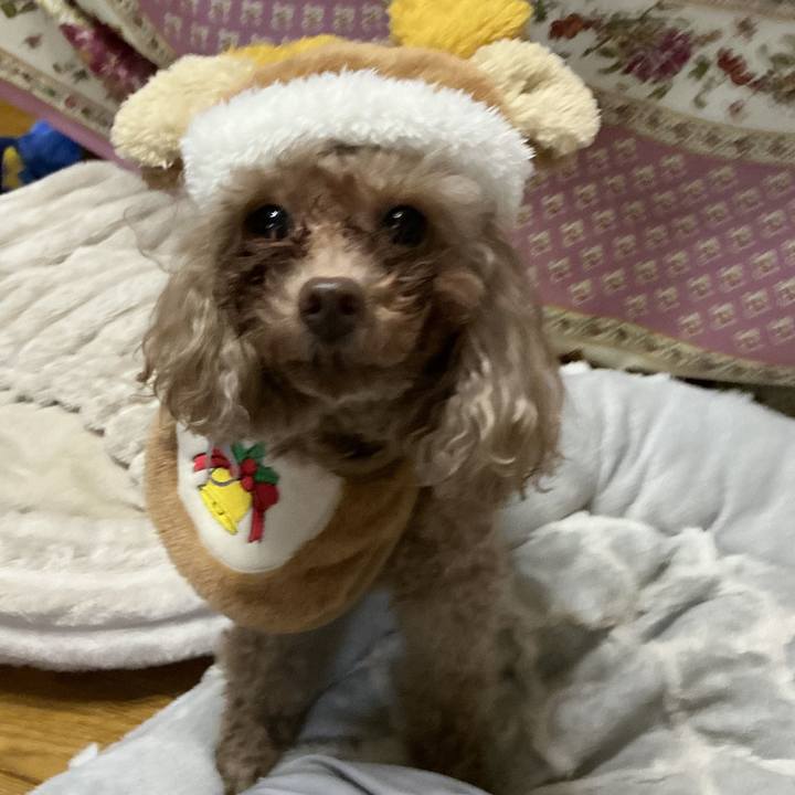 6984bd8d 4c12 4269 ad33 fc2d15eed096 1766538361322