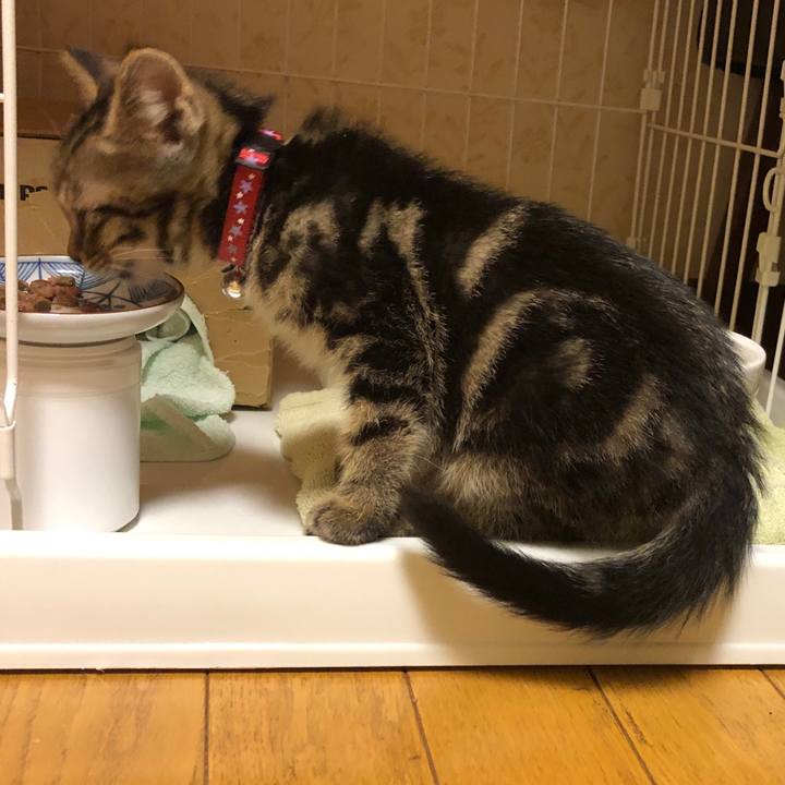 6984c360 b05c 4e00 8ff4 1bcc1ec04c9d 1724151065190