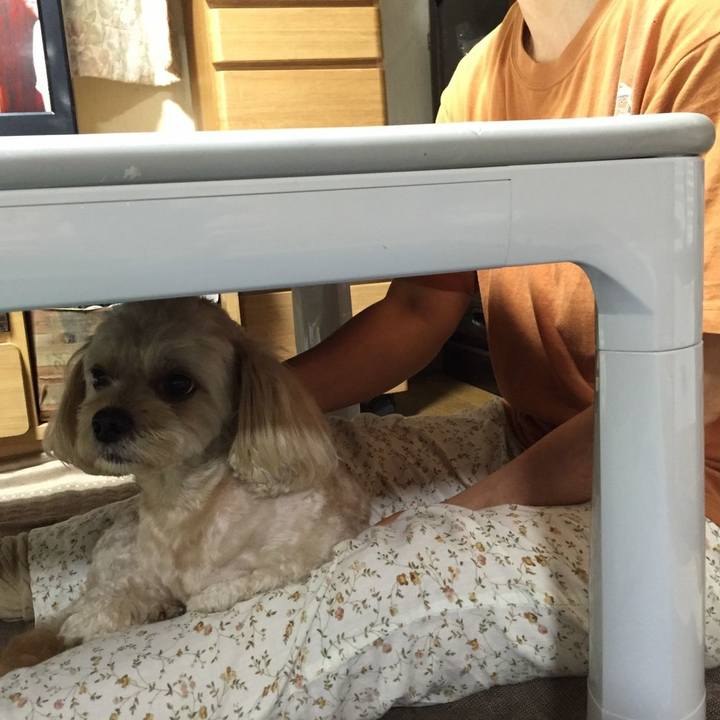 6984e7e0 d85c 408d 8a0d 226060600d23 1533908768945