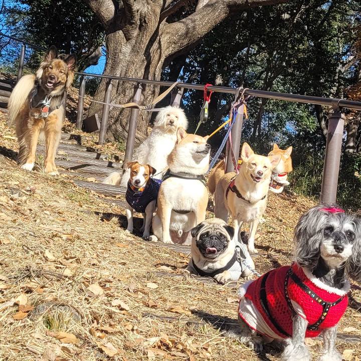 6984ec34 fca2 4190 bb57 12b74cd7fe26 1672099111962