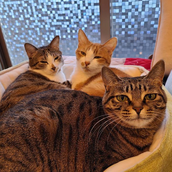 69852bf1 daa8 4208 ac02 8d4c71f91b4c 1677414074065