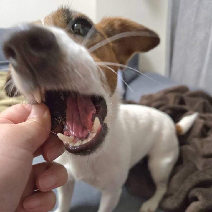 6985393d a953 42e6 8dfe 09d19efd95aa 1771554702466