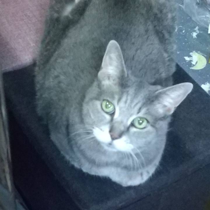 6985fc12 9d7d 4878 942a 2ed6e05b362d 1658524716858