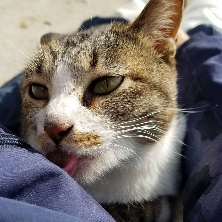 6986832e 5772 4ad3 a457 f4b8b4200188 1576298243594