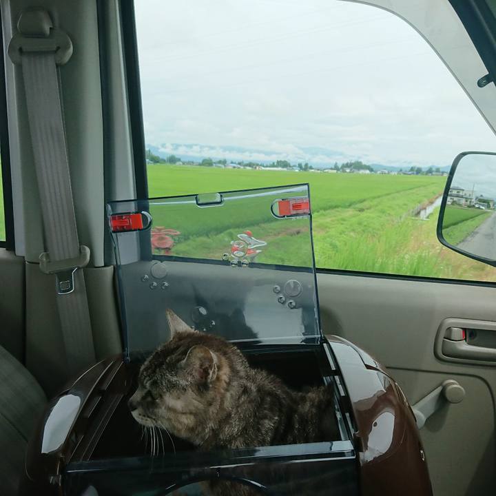 6986b8dc d8c2 49ed b453 da7a30cd334e 1595644957545