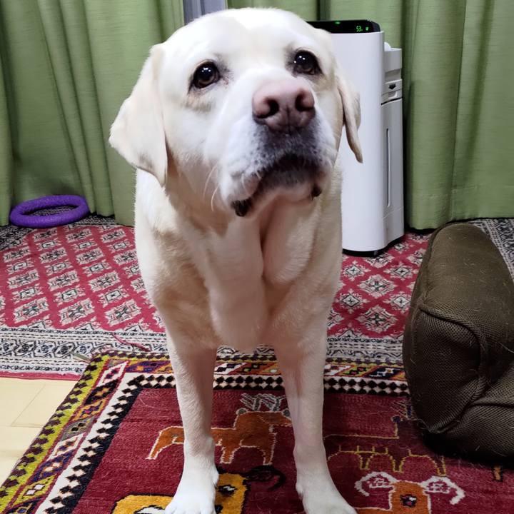 6986f7af 266e 4b08 8a9a 73bf9dca8814 1710203429887