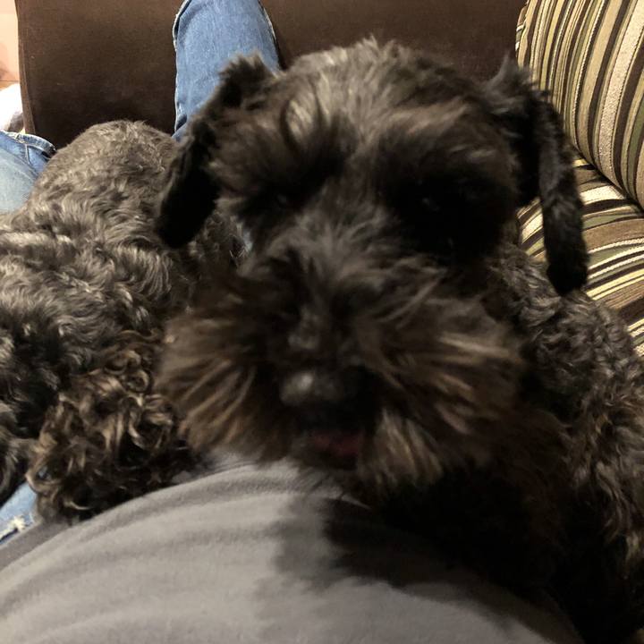 6986faee a47a 4fe0 8da9 e2a4ee282491 1583139585116