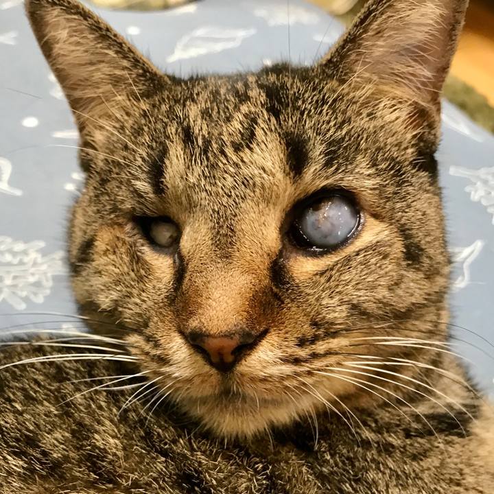 698701b4 c1d9 4f4f 8da6 9e5832b91a02 1572517118608