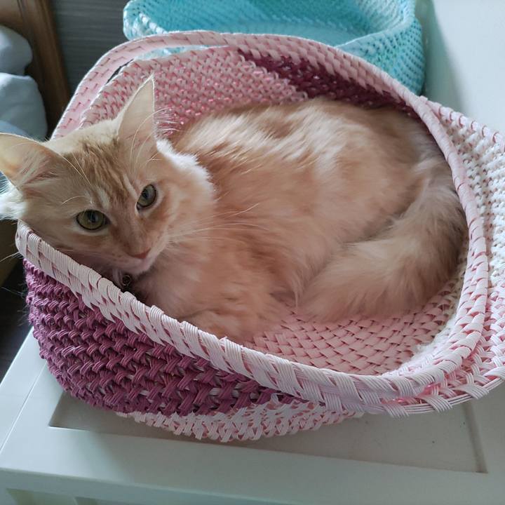 69871643 ea49 4104 98f7 cee9c5de5322 1696047794314