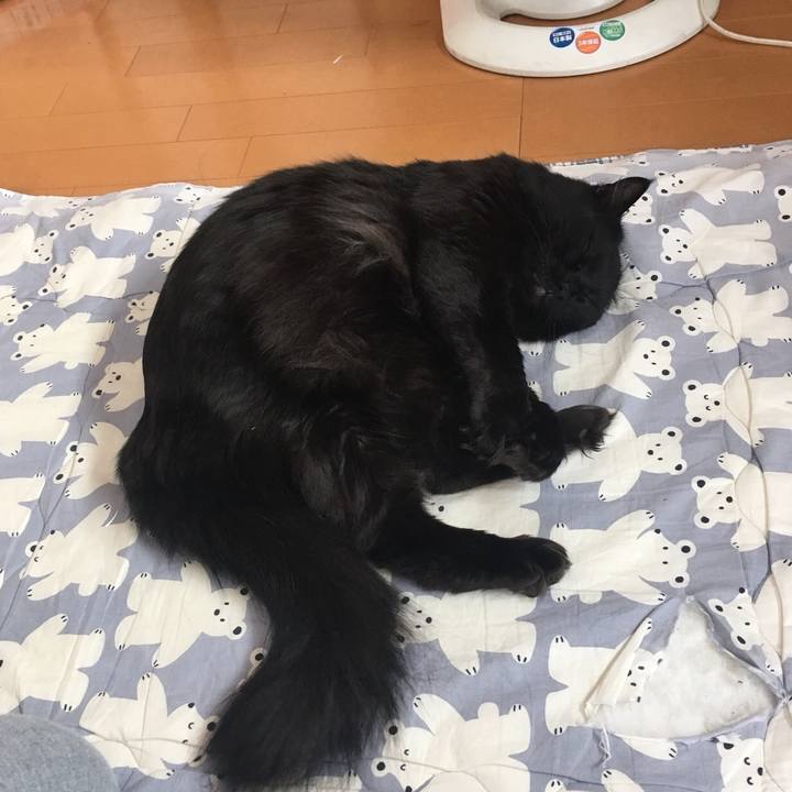 69872eff a000 4955 b804 fdc7b9bbaf3b 1521158764157