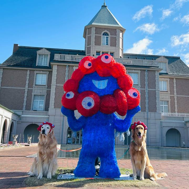 6987371d bc9d 4ee1 b3cf e01feae158d6 1762227118779